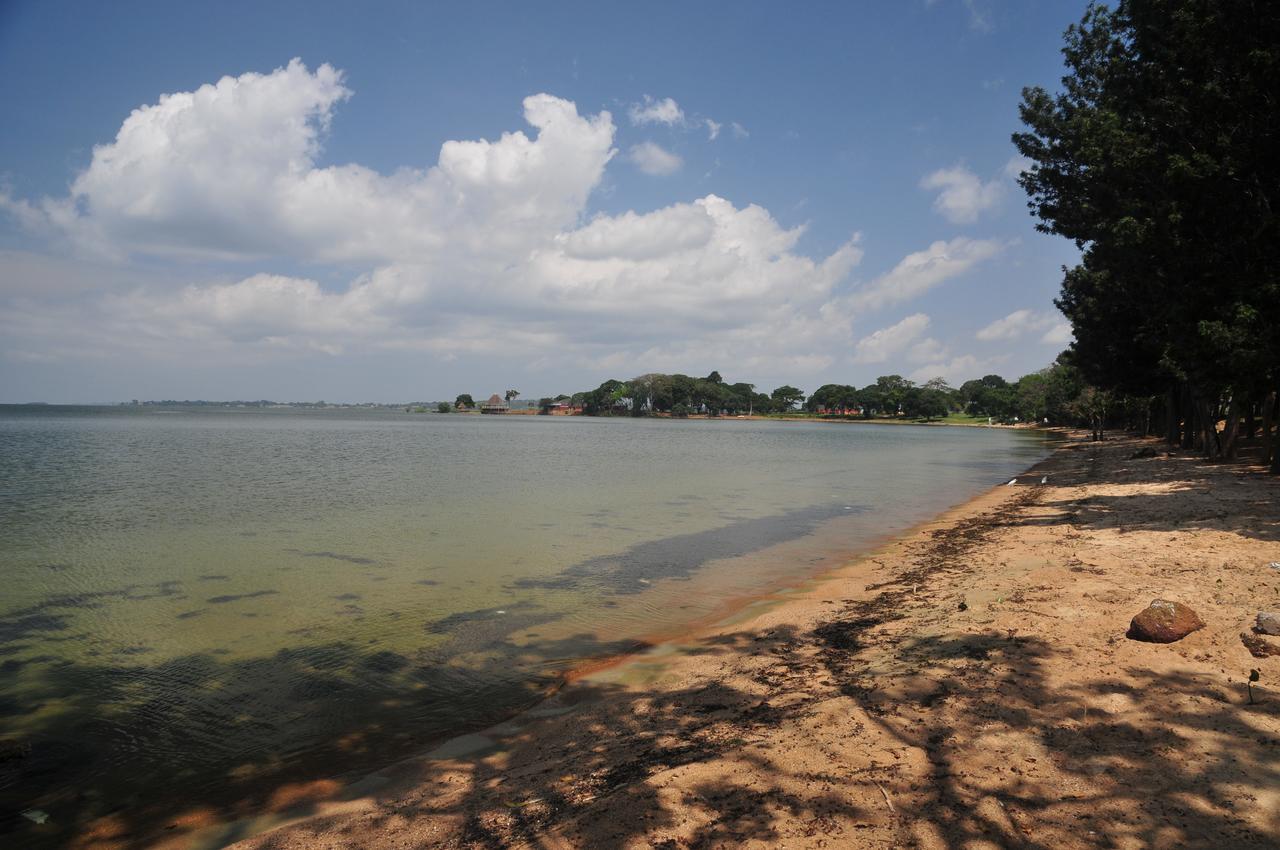 Victoria Lake View Guesthouse & Safaris Entebbe Exterior foto